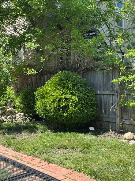 Back yard - 784 Carpenter St