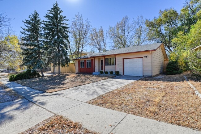 Building Photo - Cute 3 Bedroom Home in Central Colorado Sp...