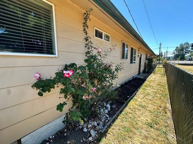 Building Photo - upgraded 2 bedroom 1 bath condo in downtow...