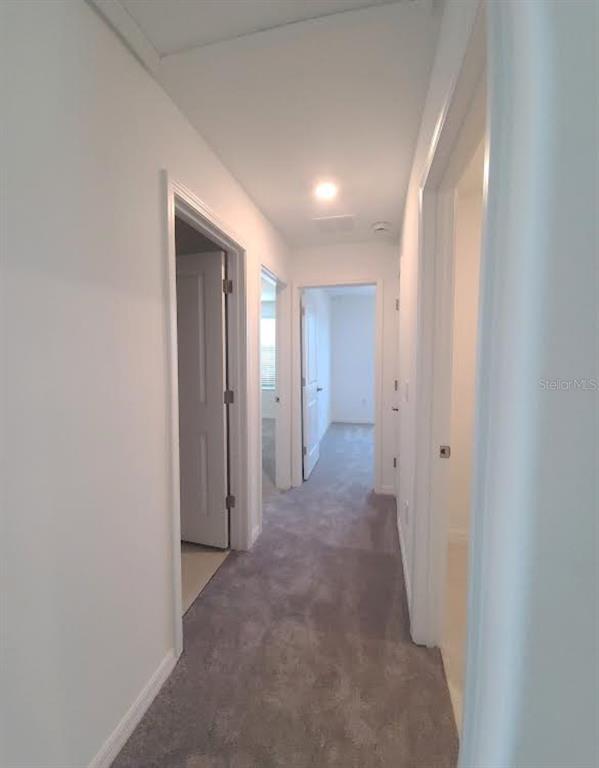 Building Photo - 10009 Calypso Orchid Ct