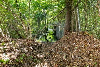 Building Photo - 663 Bartons Landing Pl