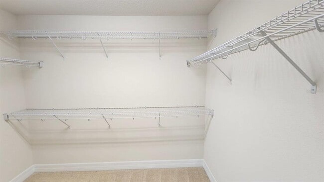 Building Photo - 5132 Big Cypress St