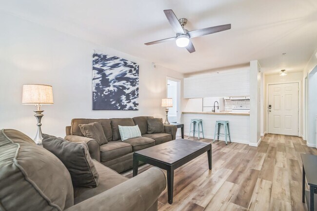 Building Photo - Furnished 4/4 University Terrace