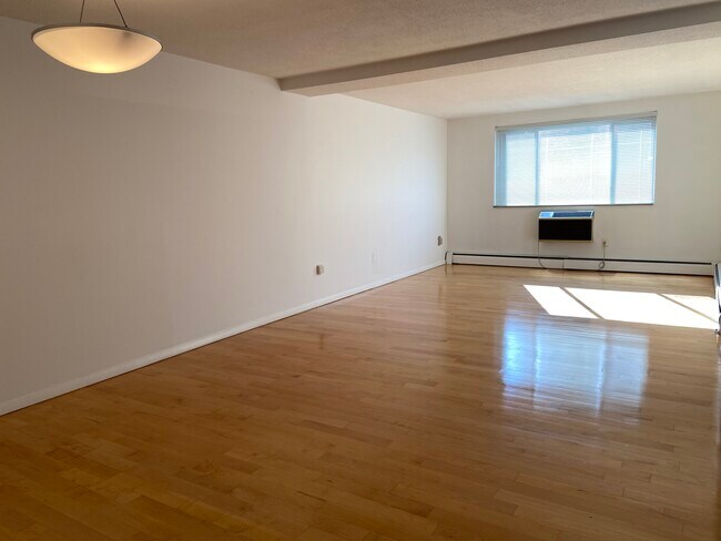 Beautiful Maple Hardwood floors - 287 Harvard St