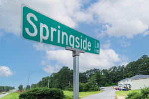 Building Photo - 6033 Springside Ln