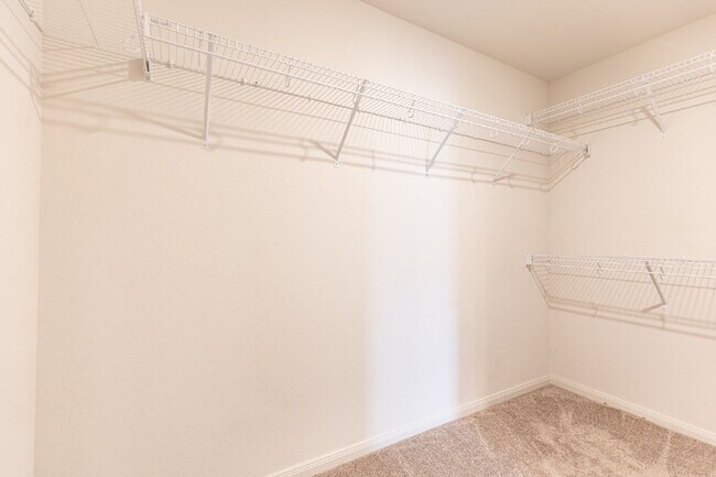 Building Photo - 7260 Calypso Canyon