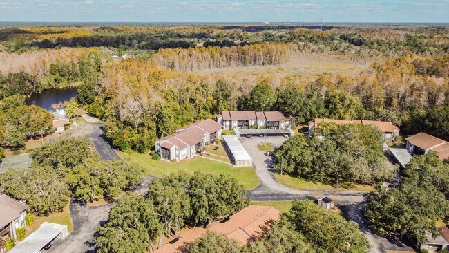 Building Photo - 11550 Baywood Meadows Dr