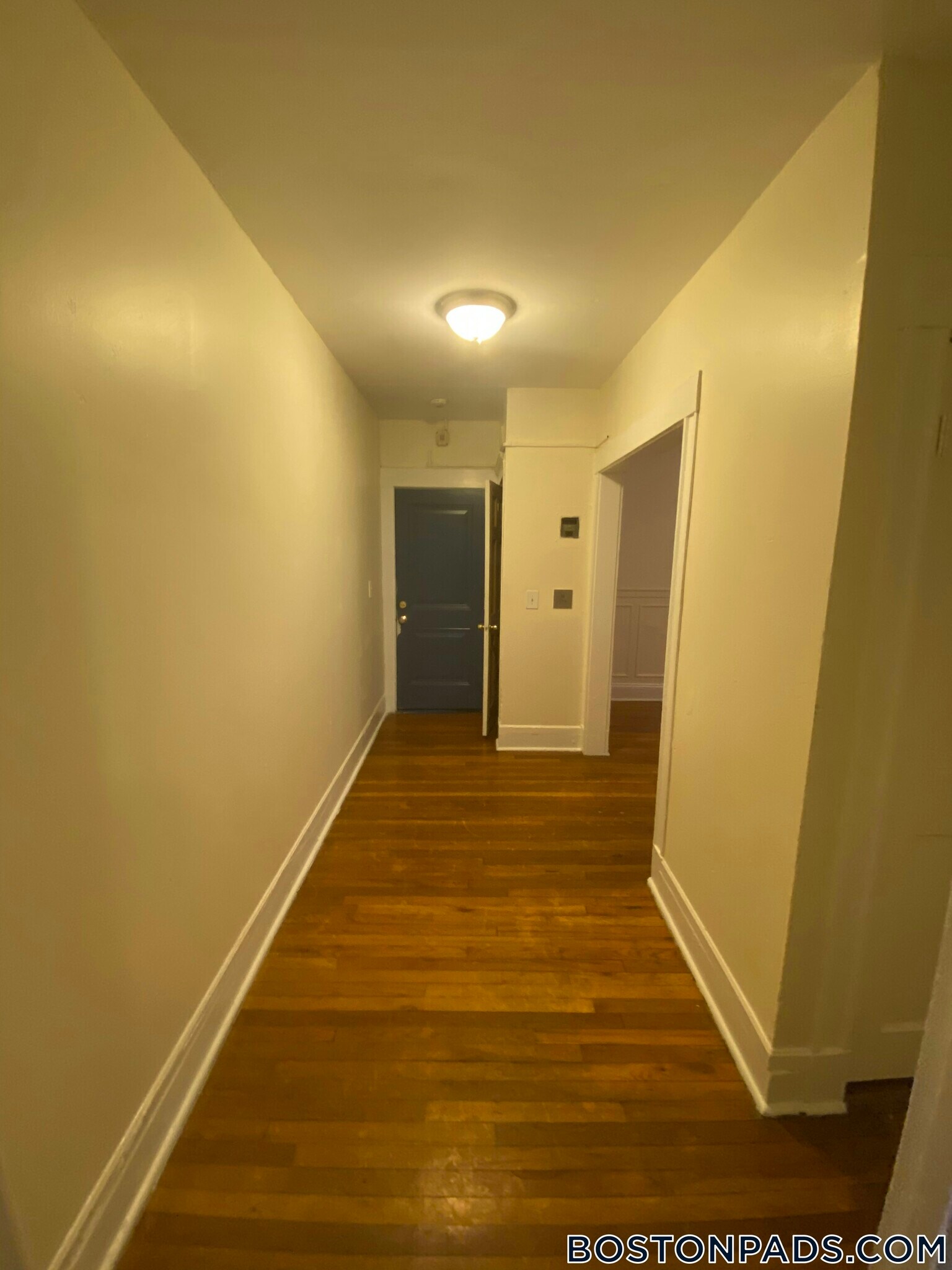 Building Photo - 244 Kelton St