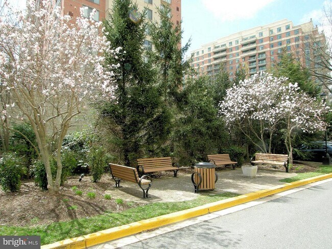 Benches and Blooms - 11801 Rockville Pike