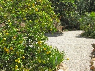 Building Photo - 22351 Pacific Coast Hwy