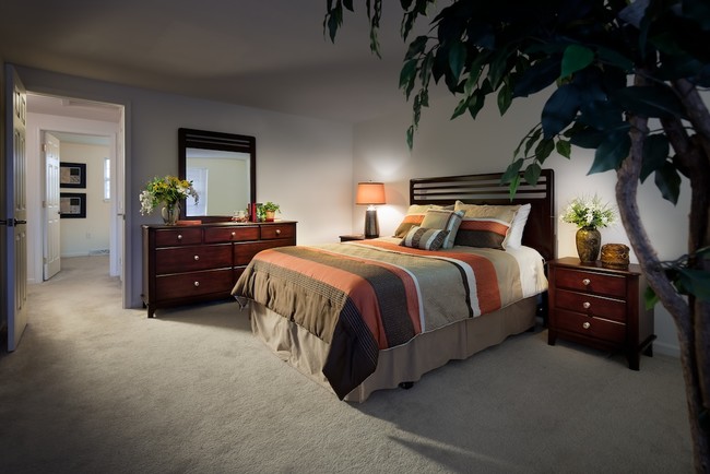 Master Bedroom - Charleston Townhouses