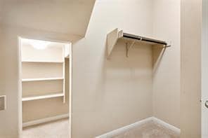 Building Photo - 407 Epiphany Ln