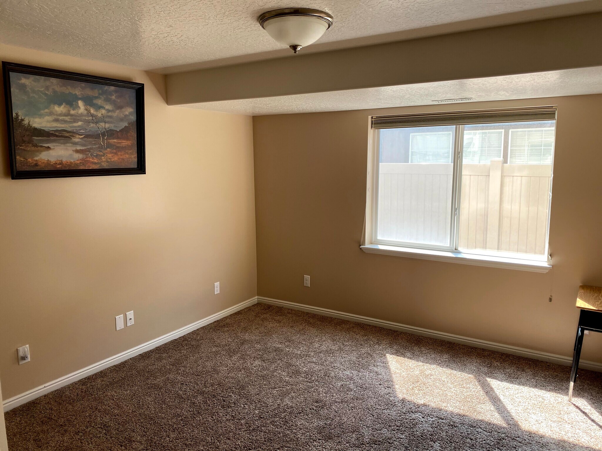 Bedroom in Basement - 11006 S Maple Forest Way