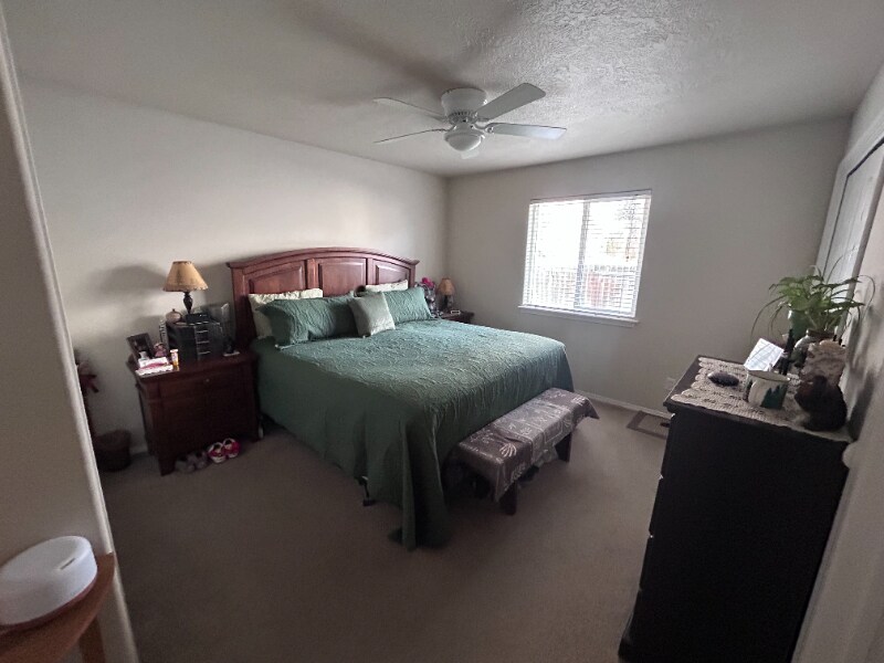 Building Photo - 1707 Dora Dr N