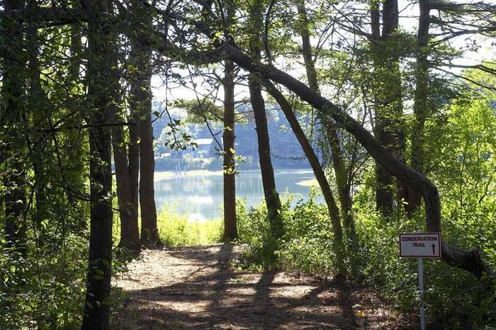 Walking trail to Spruce Creek - 100 Shepards Cove Rd