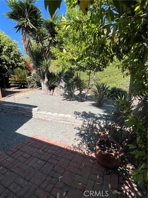 Building Photo - 881 Calle Pluma