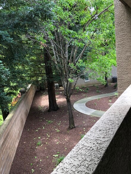 View from the wrap around patio - 10001 Woodcreek Oaks Blvd