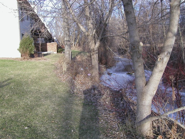View - Cottonwood Creek