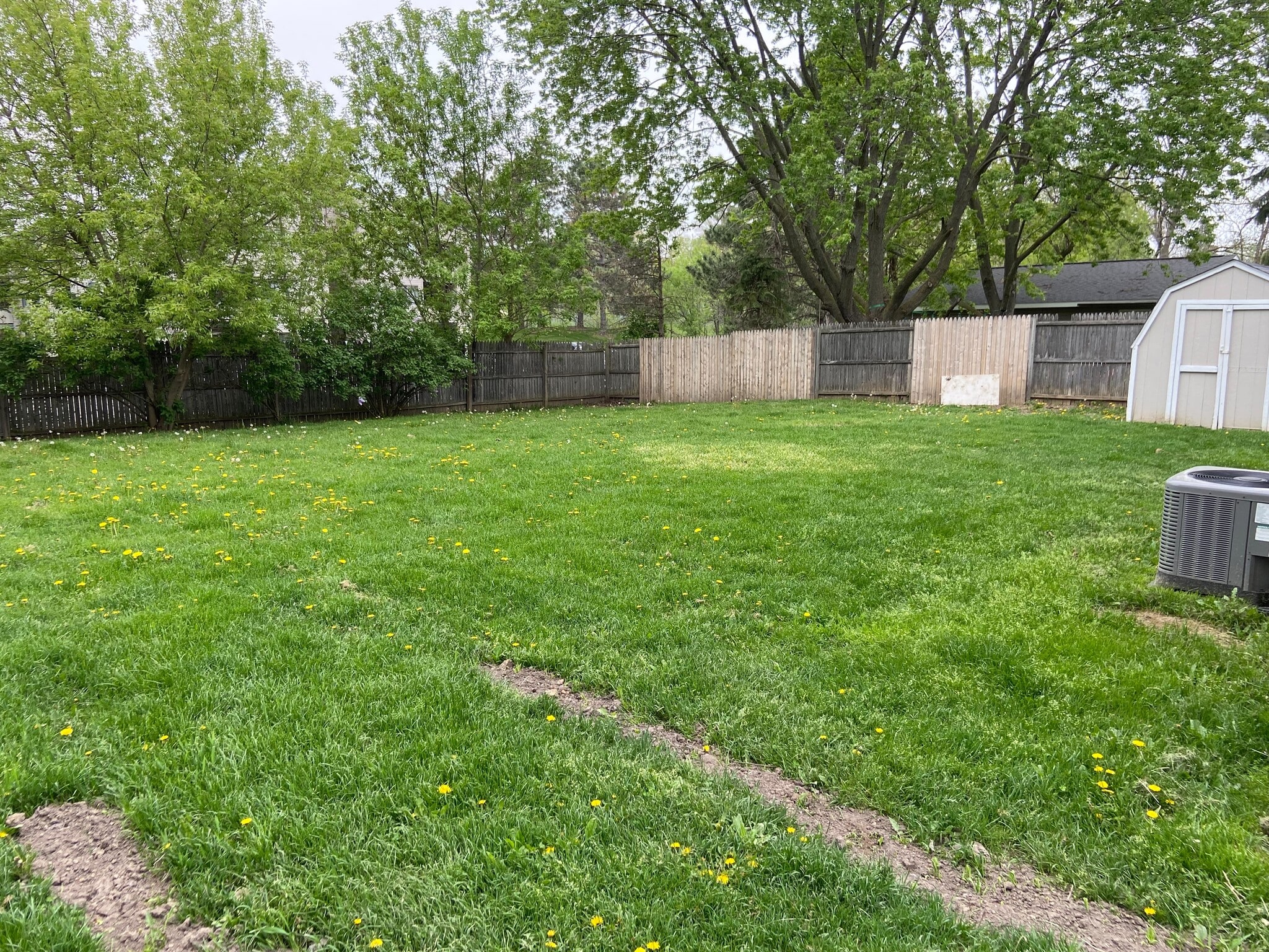 fenced Back Yard - 734 S Walnut St