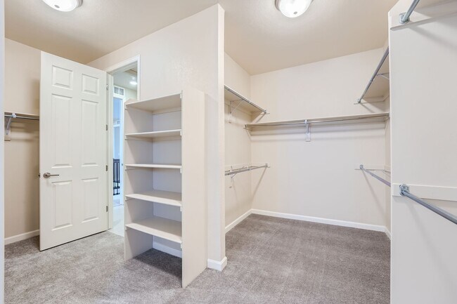 Building Photo - Welcome to Modern Luxury in Louisville, CO-Available December 10!