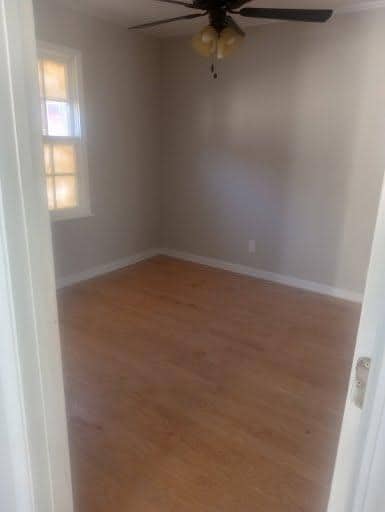 Building Photo - 1971 Beech Ave