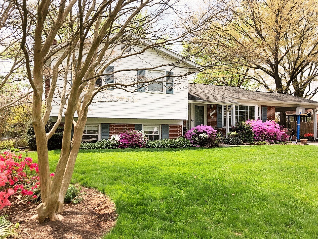 Building Photo - 8507 Woodside Ct