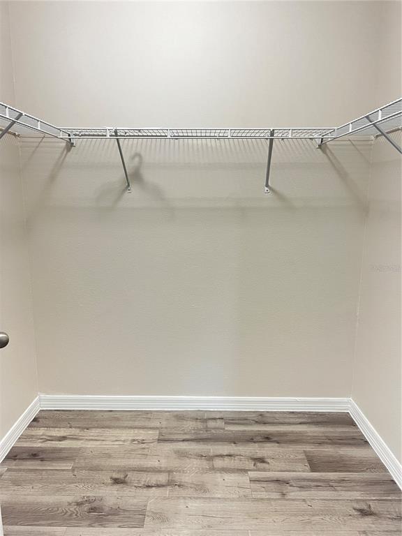 Building Photo - 2616 Carrickton Cir