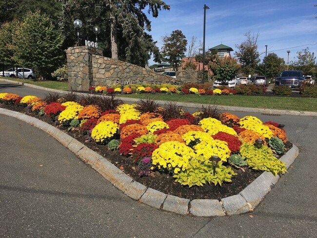 Building Photo - 1002 Paradise Rd