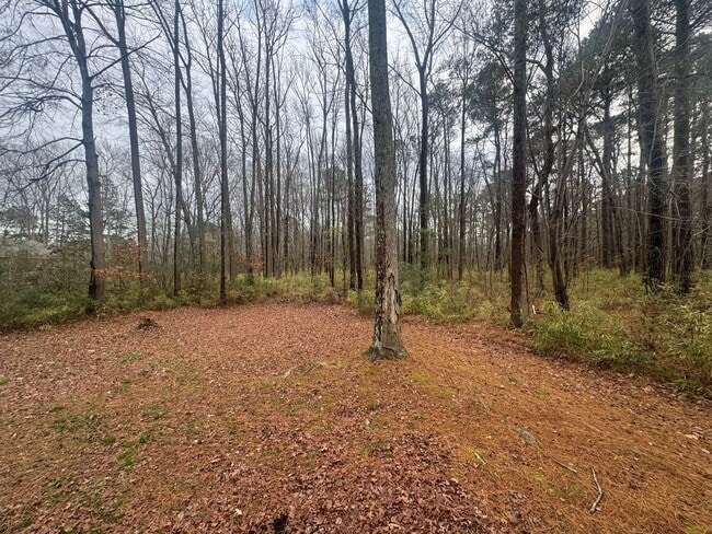 Building Photo - Cozy Private Living in Suffolk