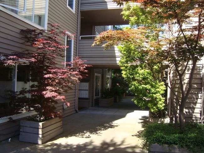 Primary Photo - Madison Court
