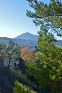 Building Photo - Spyglass Hill Condo Featuring Scenic Mt. T...