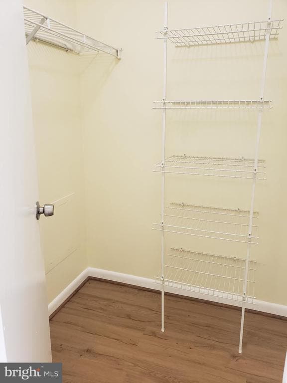 Building Photo - 18022 Royal Bonnet Cir