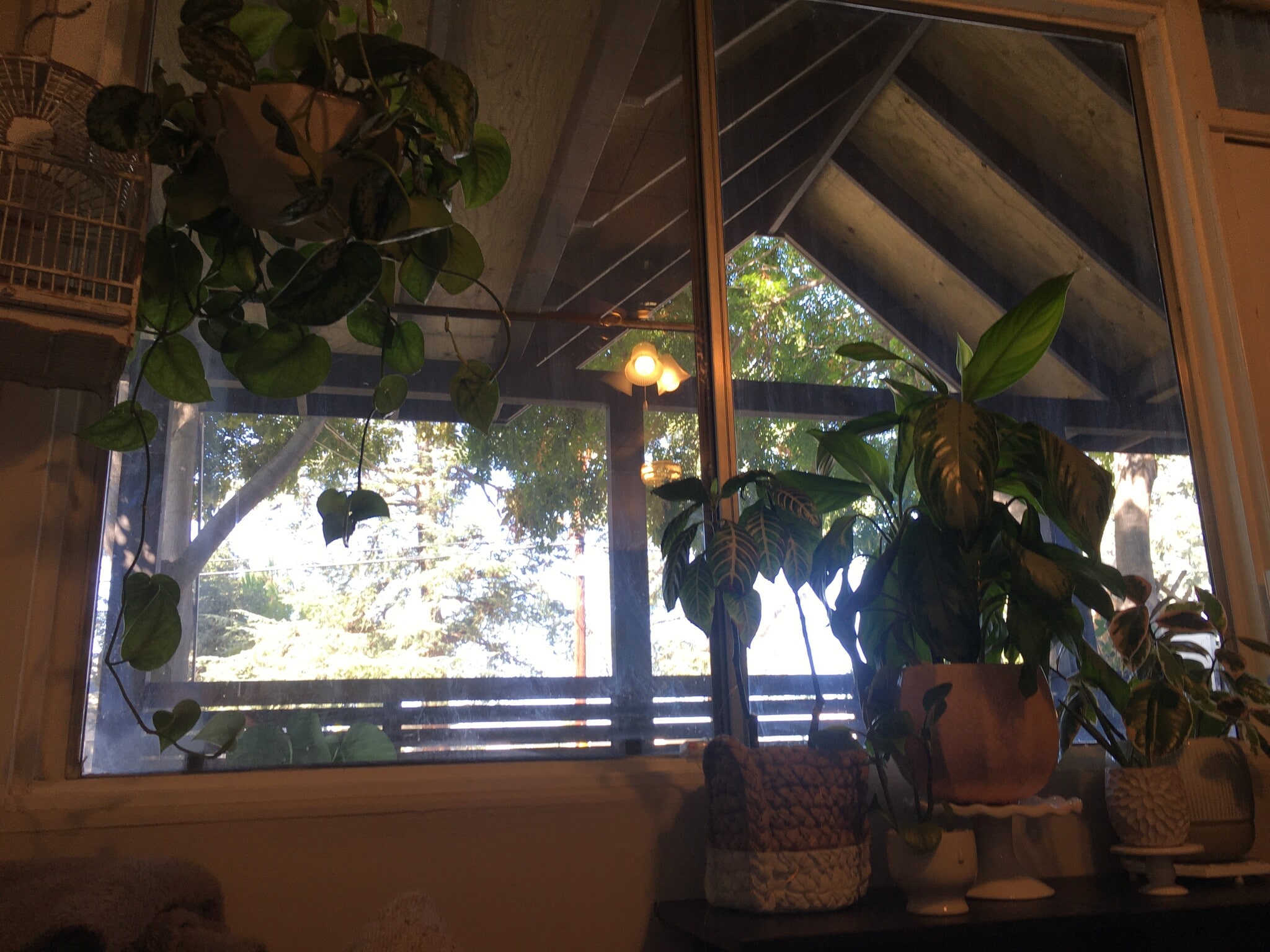 Building Photo - 3016 Court St