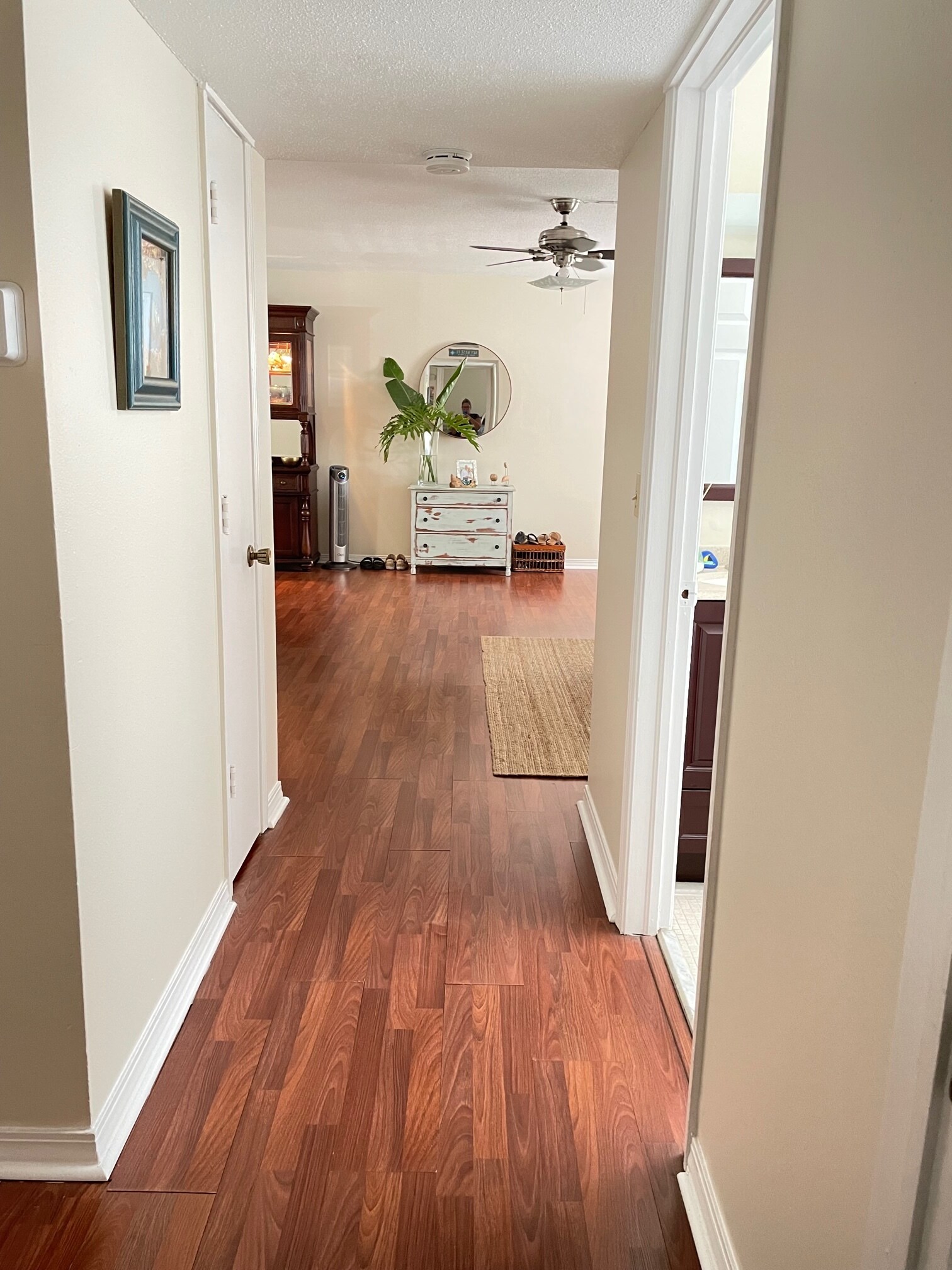 Hall Storage closets - 6965 Avenue des Palais
