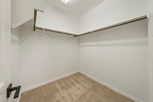 Building Photo - 17769 Shumard Oak Dr