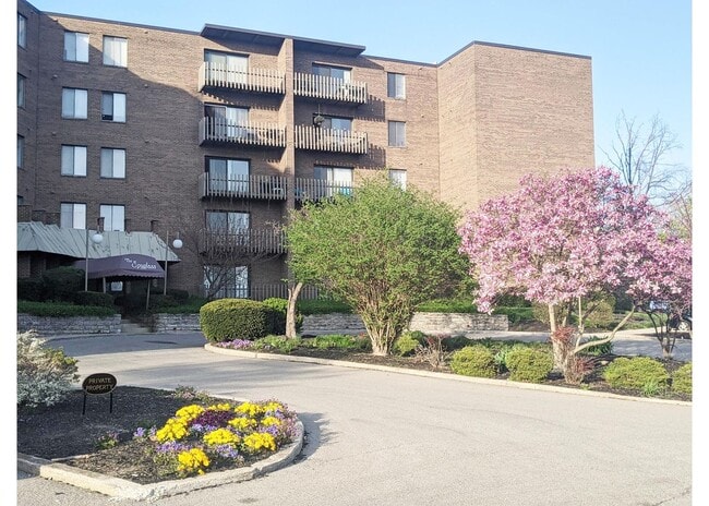 Interior Photo - Spyglass