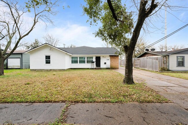 Building Photo - 1219 Park Ln