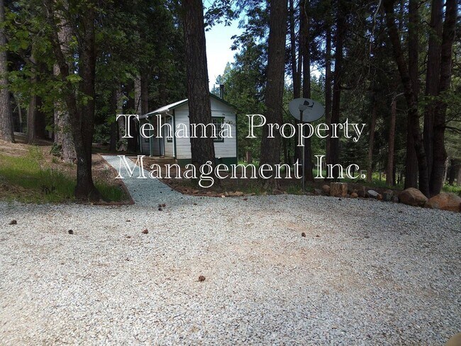 Building Photo - Pine Ridge Park Estates