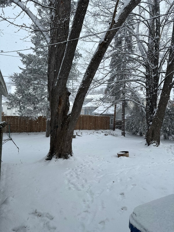 Building Photo - 616 Dekalb St