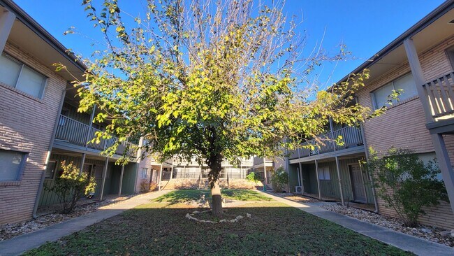 Building Photo - Lovely 2 bedroom apartment in Balcones Heights