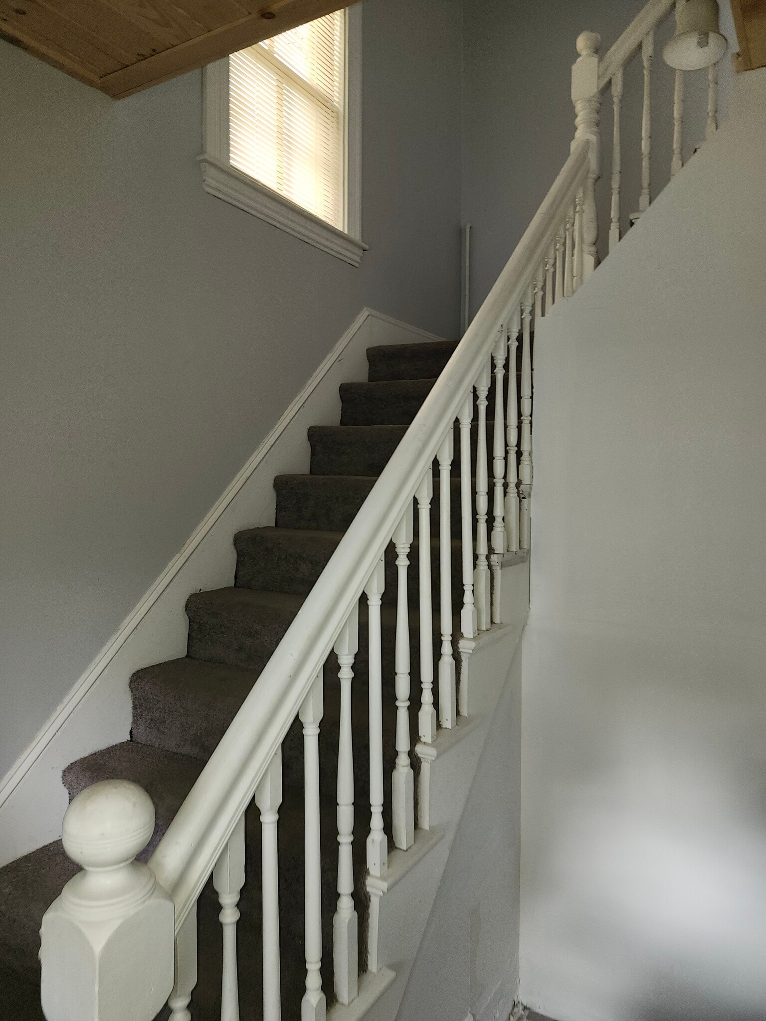 Building Photo - 10 Abbott St