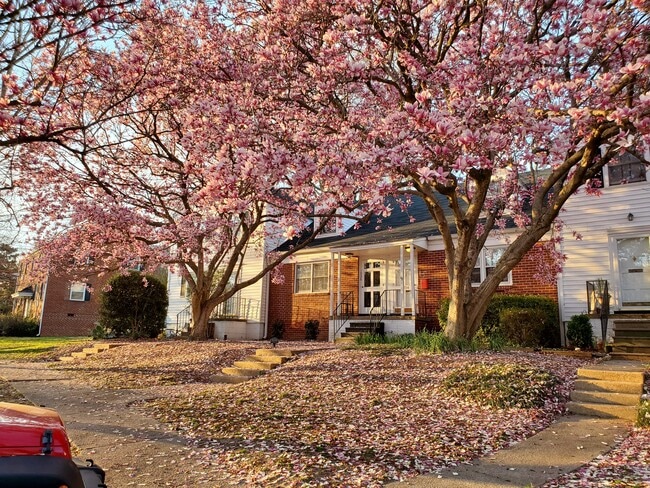 Building Photo - 1936 Smallwood Dr