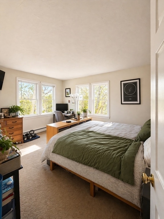 Building Photo - 4 Westview Terrace