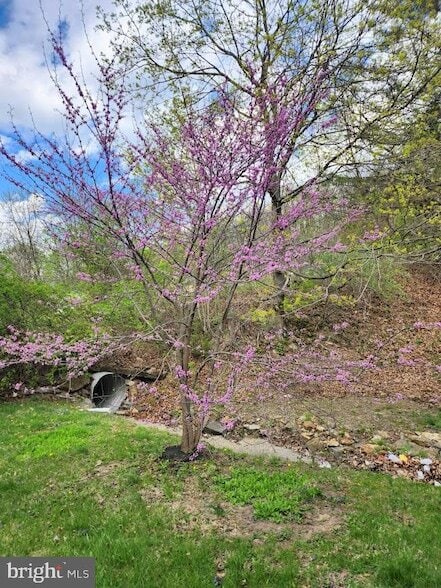 Building Photo - 172 Raystown Rd