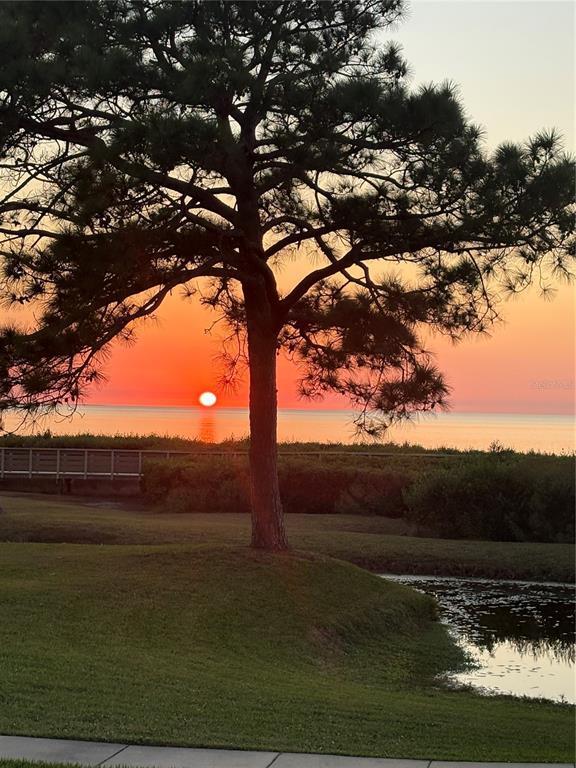 Building Photo - 621 Windrush Bay Dr