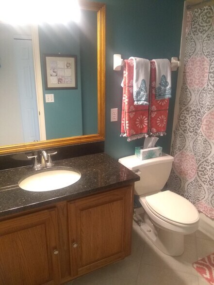 Guest Bathroom sink - 147 Filbert St