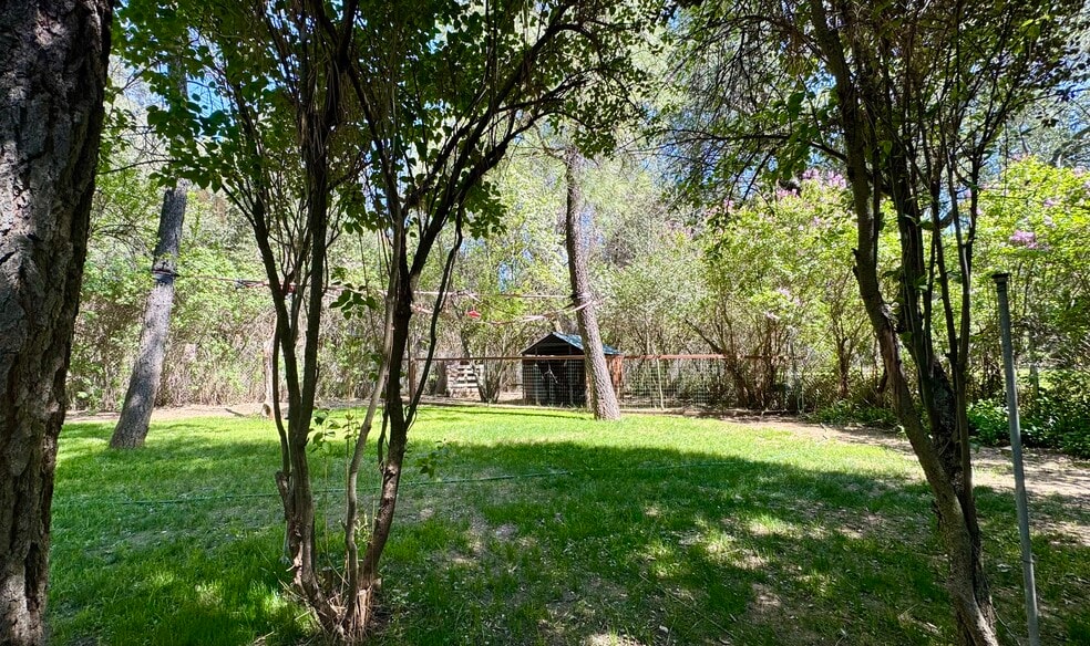 backyard & chicken coop - 7627 Pine Blvd