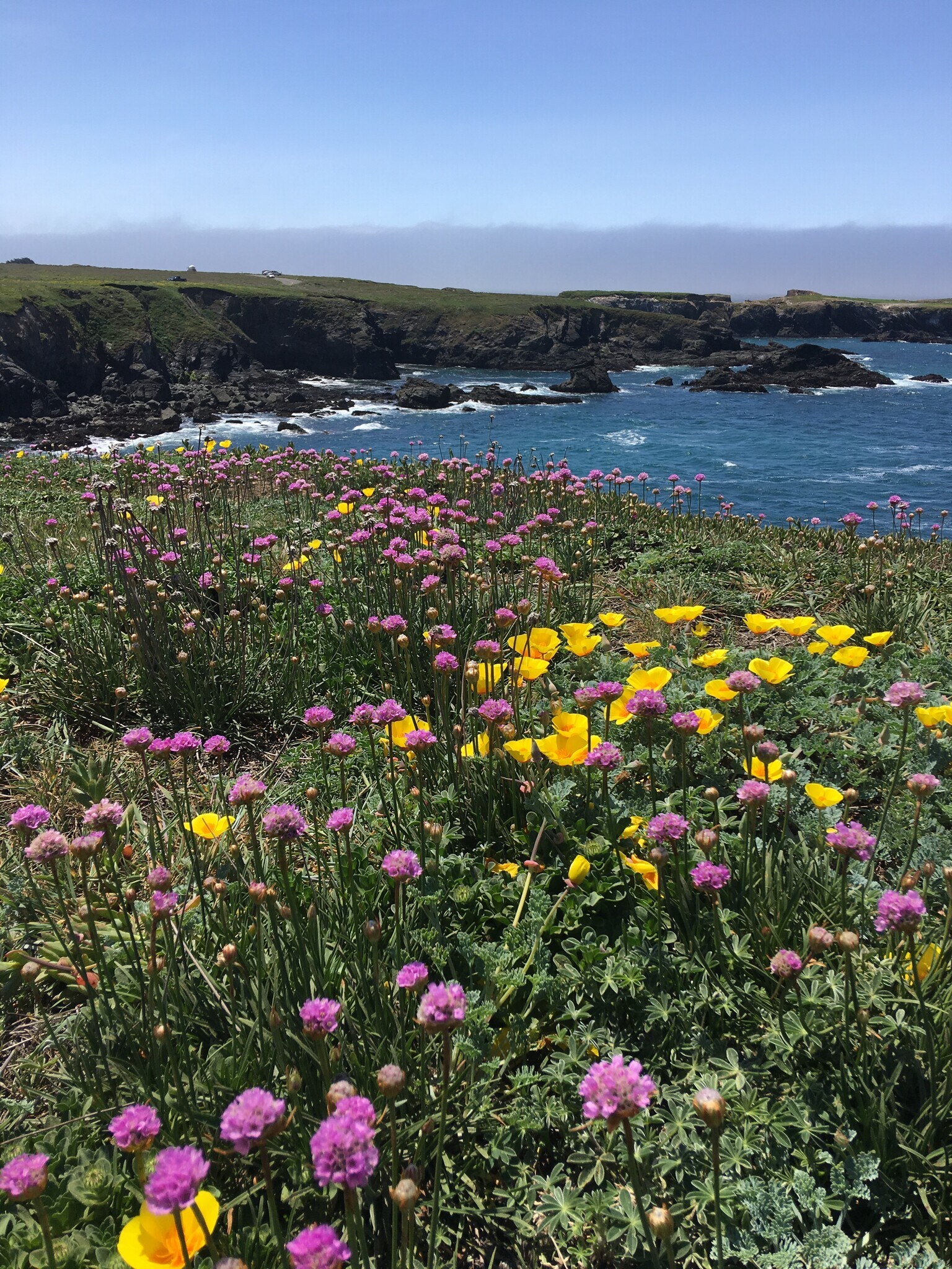 Building Photo - 10880 Palette Dr