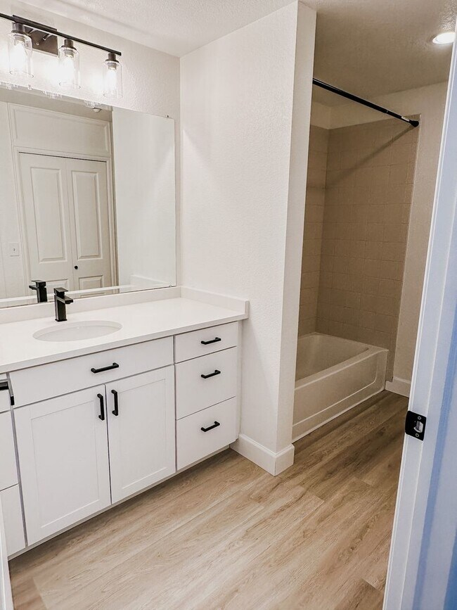 Building Photo - Amazing 2 Bedroom across from DU