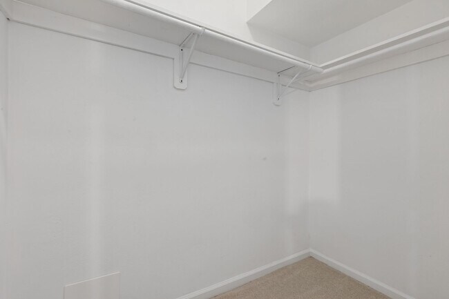 Building Photo - Beautiful Split Level Home in Norfolk!!